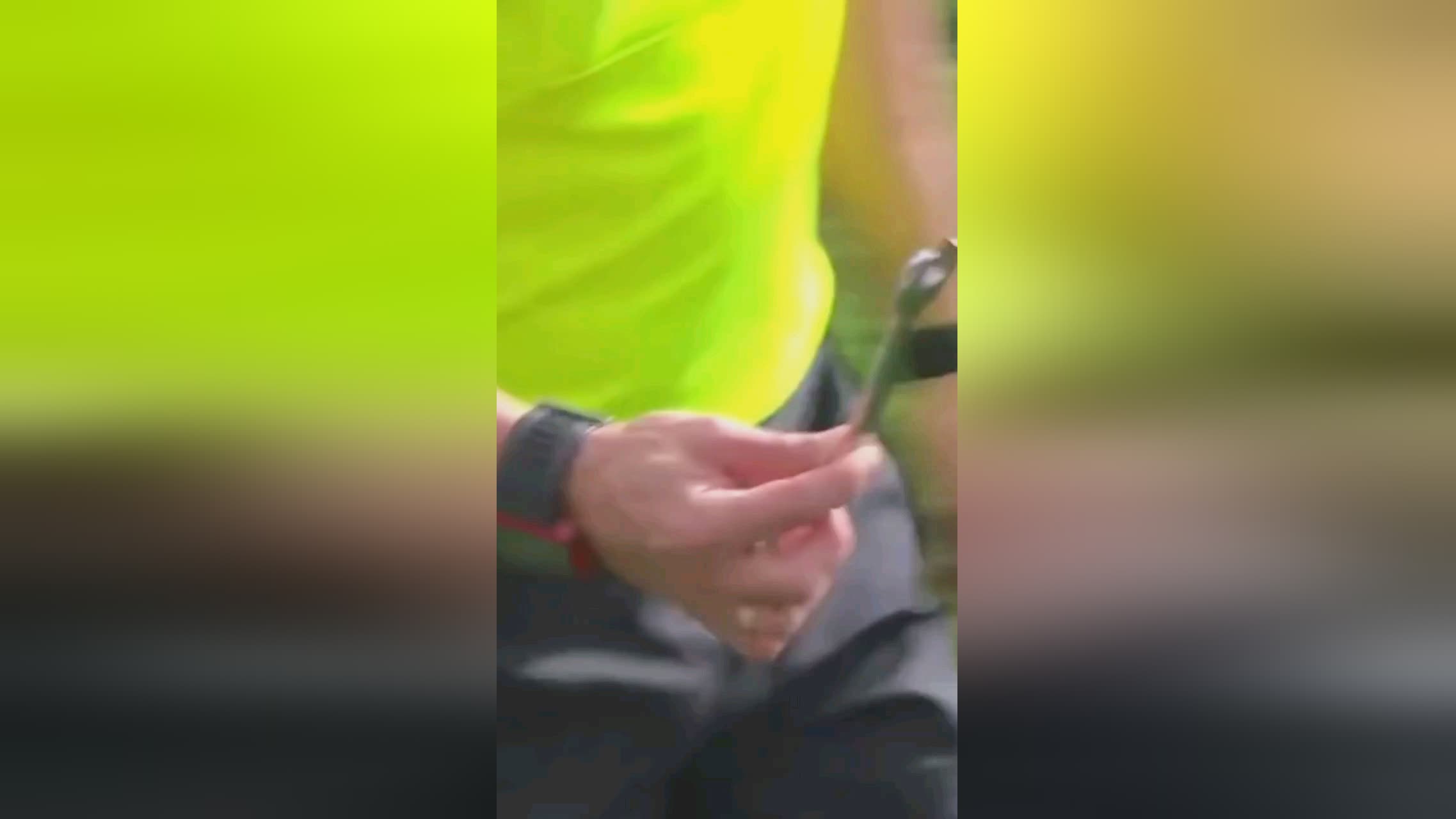 尼黑的传